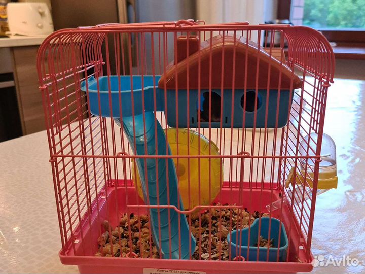 Хомяк Боня с клеткой