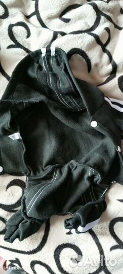 Одежда для собак мелких пород