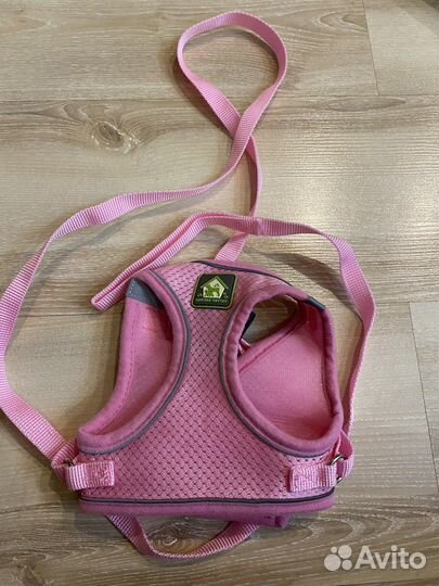 Шлейка для животных