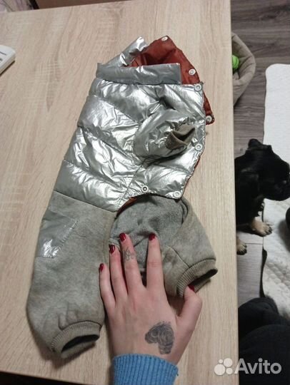 Зимний костюм для собак