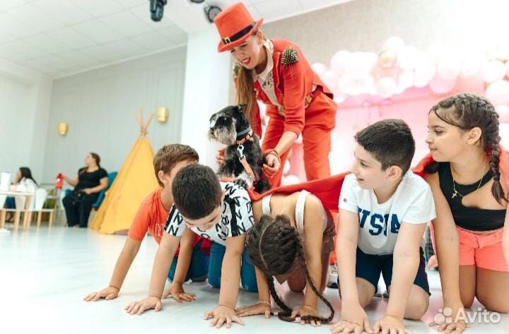 Аниматор с дрессированными собачками. Дог шоу