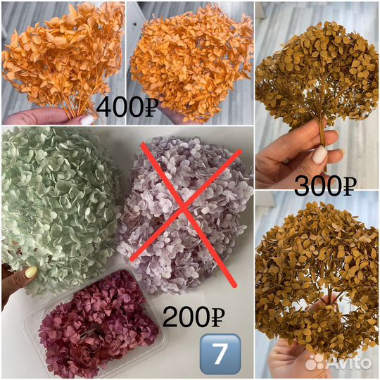 Сухоцветы и стабилизированные цветы