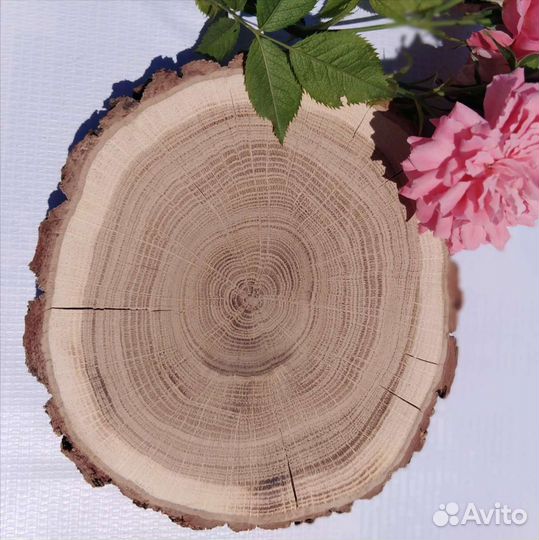 Дубовые спилы с корой