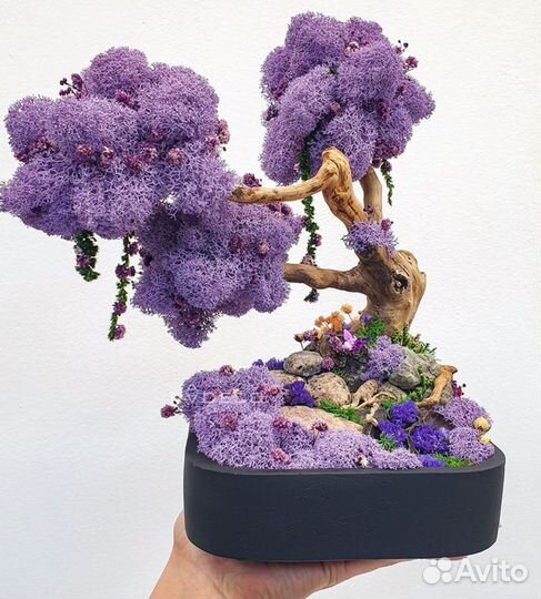 Дерево Бонсай стабилизированный мох