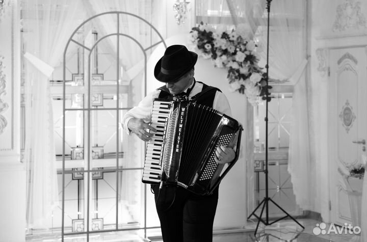 Музыкант артист аккордеонист баянист гармонист