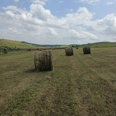 Сено в рулонах