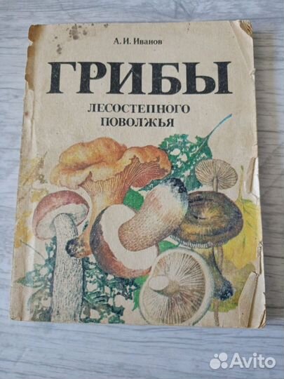 Книга грибы