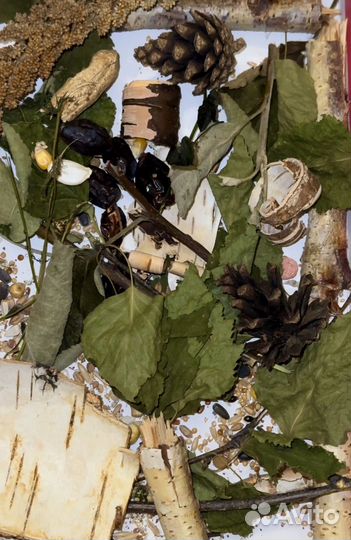 Копошилка для попугаев