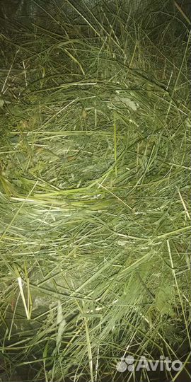 Сено луговое в мешках