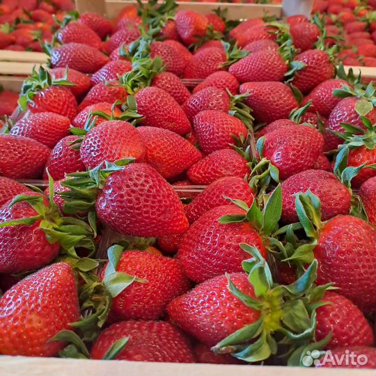 Фрукты и овощи и сухофрукты