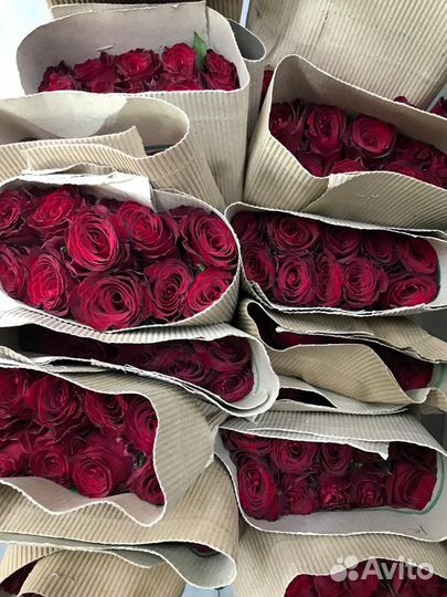 Цветы оптом Доставка, цветы Розы