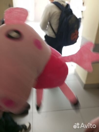 Свинка пепа редкий фид