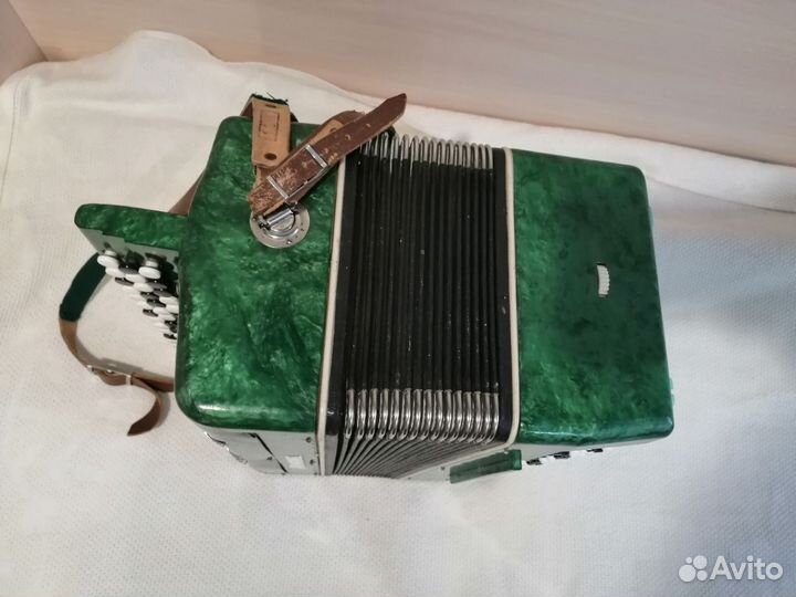 Баян школьник