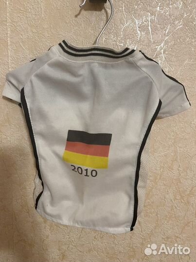 Одежда для собак