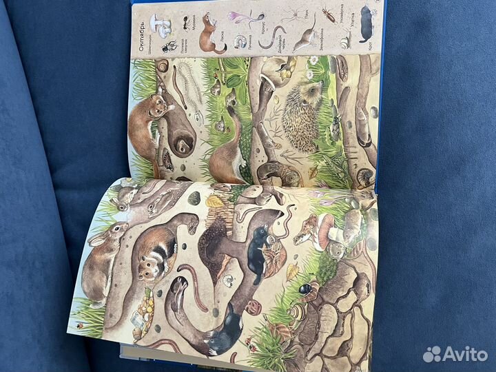 Большая книга времен года, Хенкель