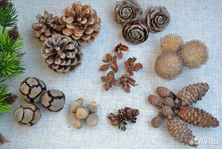 Набор шишек для поделок