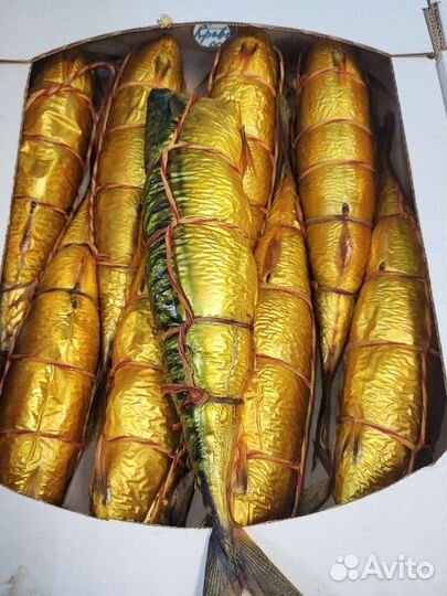 Рыба копченая. Холодное горячее копчение