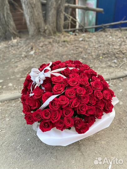 Роза сортовая