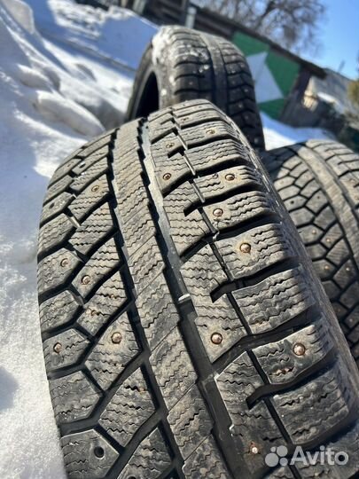 Cordiant Polar 2 205/55 R16