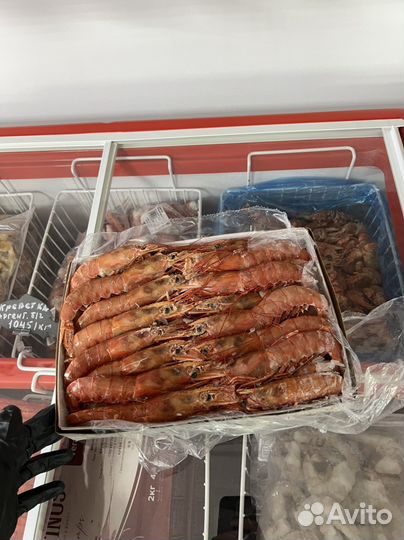 Аргентинская креветка (Лангустина)