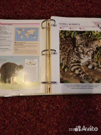 Сборник о живой природе