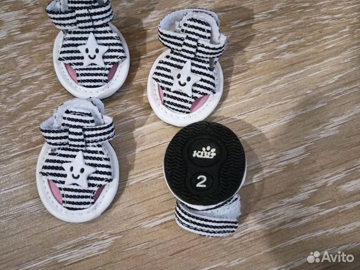 Обувь для маленьких собак