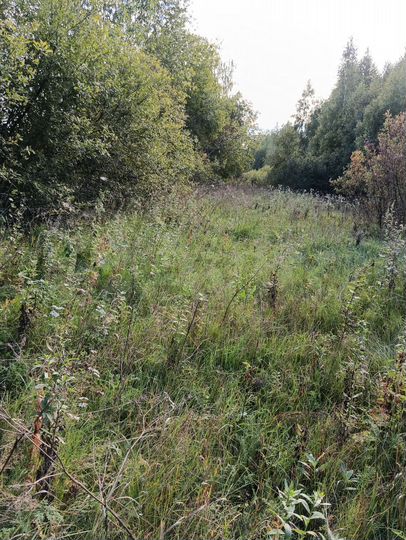 Участок 11 сот. (ИЖС)