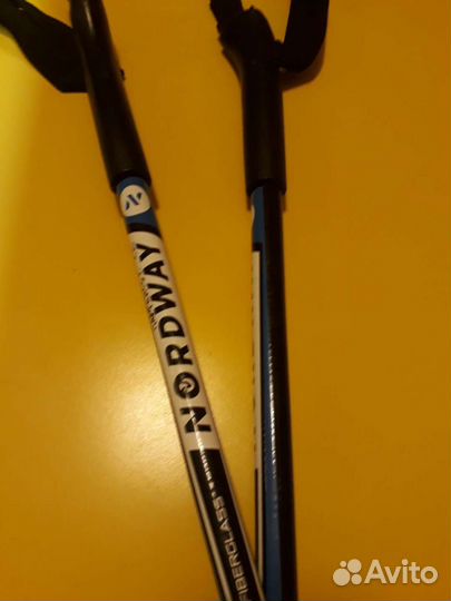 Лыжные палки