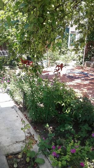 Дом 300 м² на участке 14,8 сот.