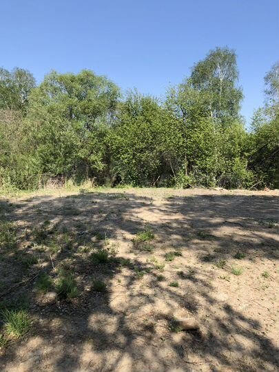 Участок 19,5 сот. (СНТ, ДНП)