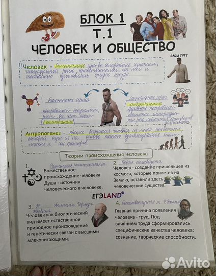 Обществознание ЕГЭ полный курс