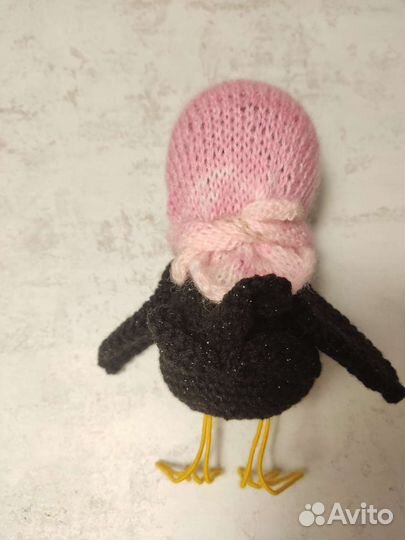 Ворона Галка