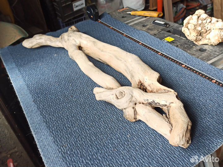 Коряга 70см для растений кактусы