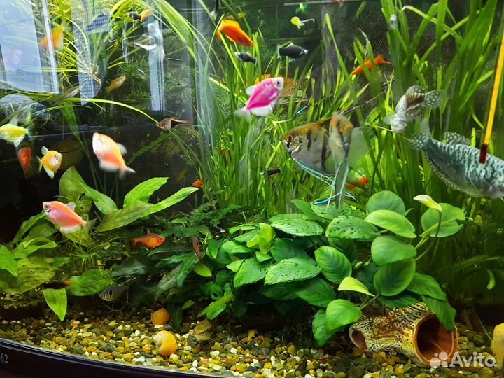 Продам аквариум
