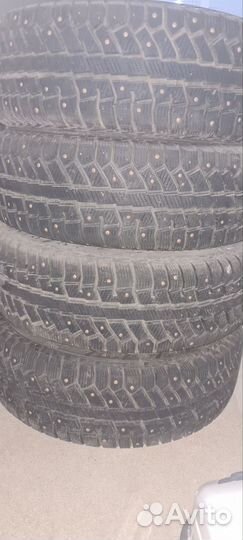 Cordiant Polar 2 205/65 R15
