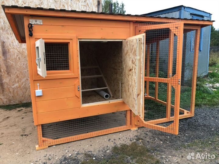 Курятник апельсинка