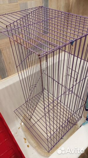 Клетка для морской свинки