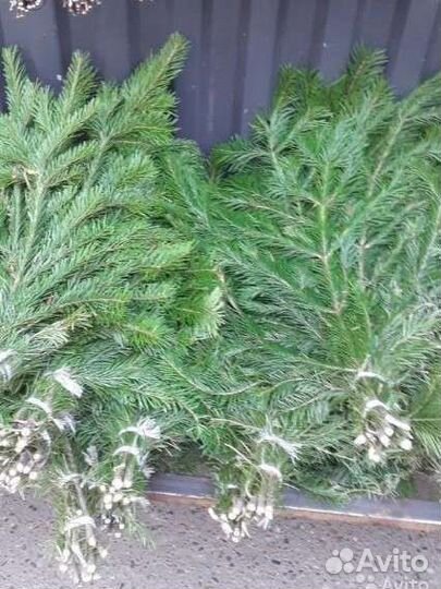 Веники и травы