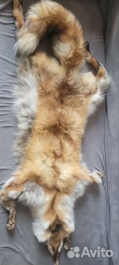 Шкуры лисы