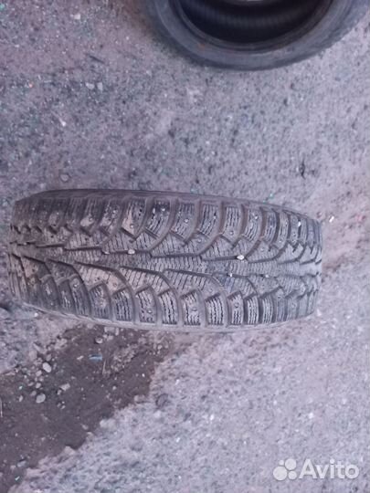 Nordman 5 195/65 R15