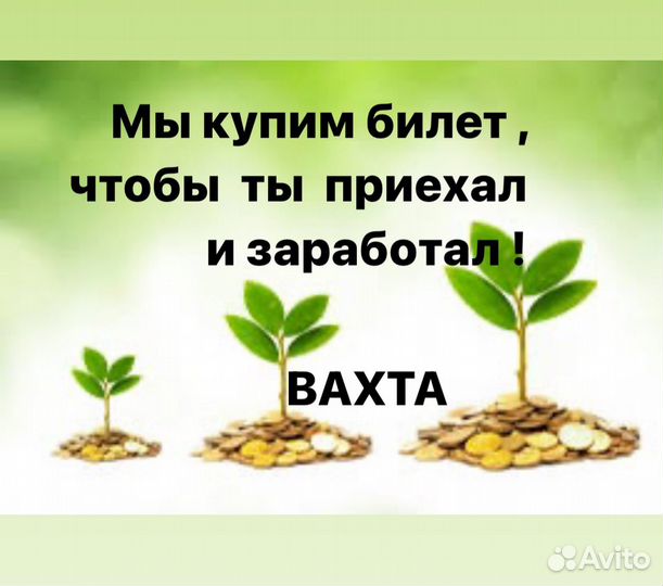 Упаковщик конфет вахта