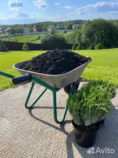 Чернозем с доставкой