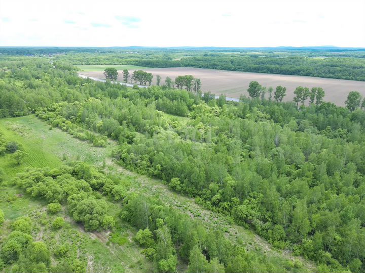 Участок 10,7 сот. (ИЖС)