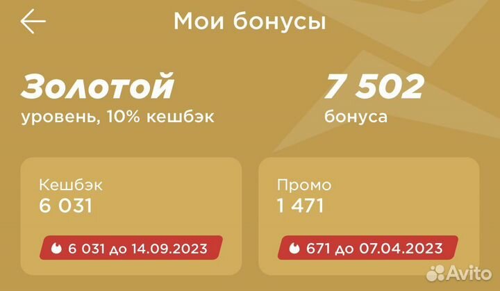 Бонусы спортмастер