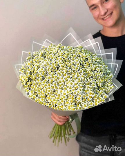 Цветы ромашки