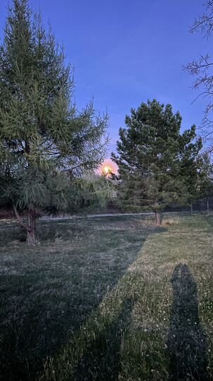 Участок 24 сот. (ИЖС)