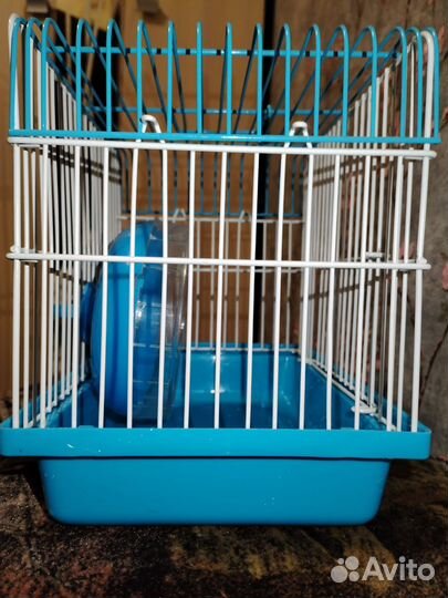 Клетка для джунгарского хомяка