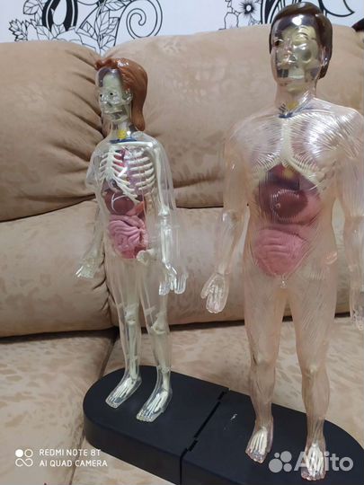 Собрать человека