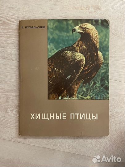 В.Пухальский.