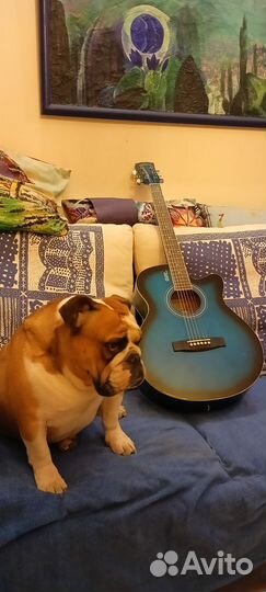 Акустическая гитара Elitaro E4010 BLS